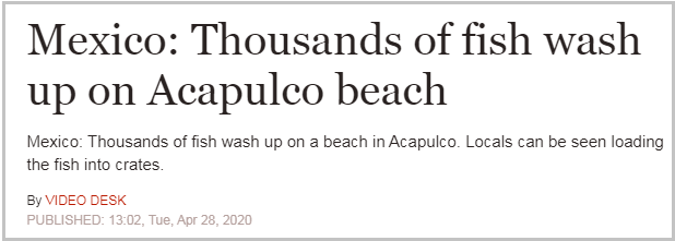 Mexico.png