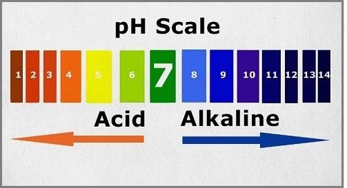 pH-Scale.jpg